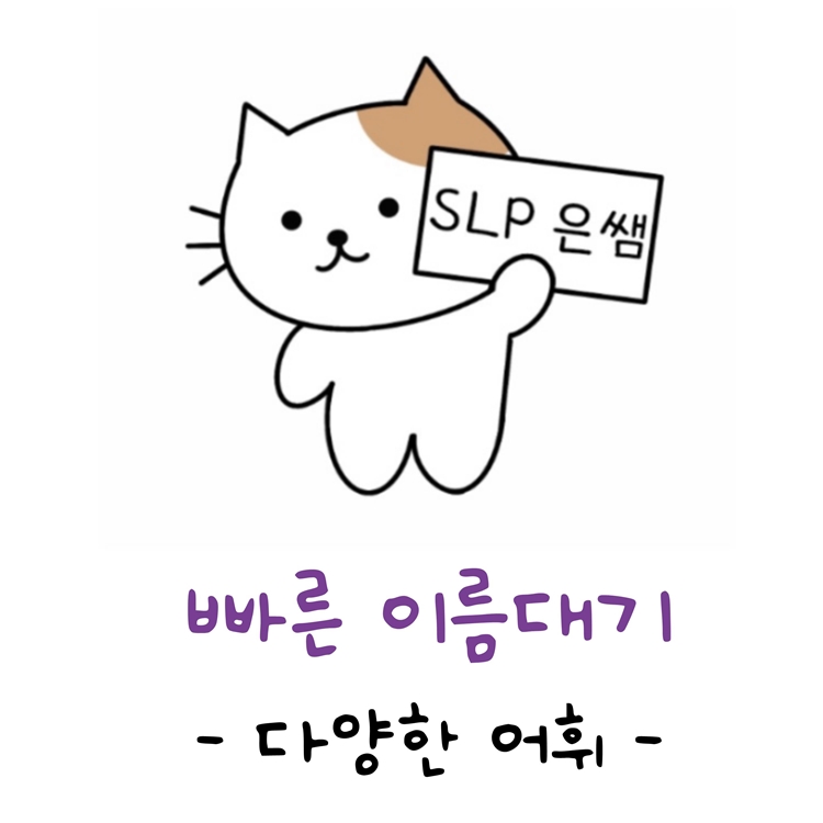 빠른이름대기(다양한어휘) [SLP은쌤]